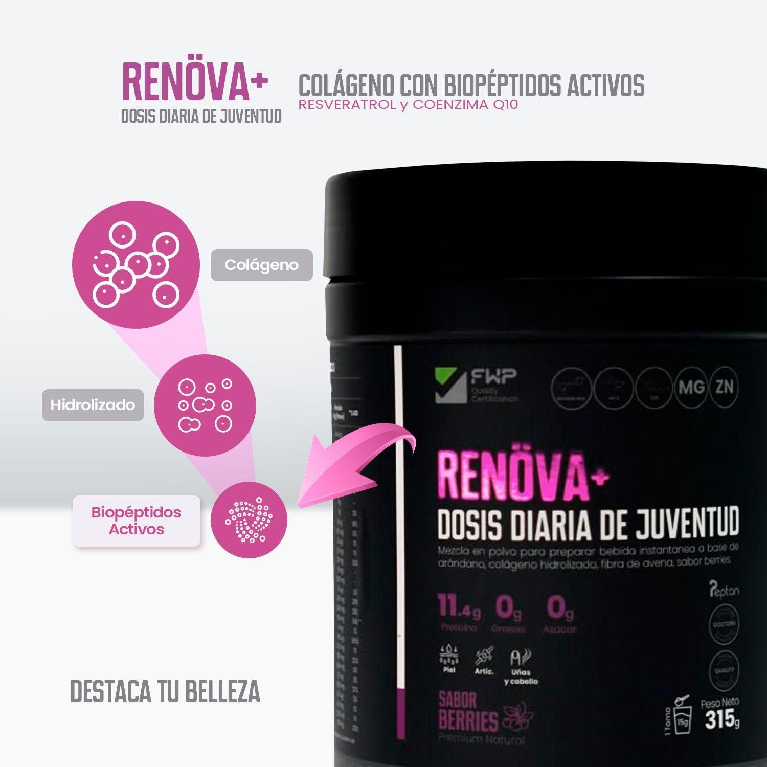 SUPLEMENTO RENOVA+ DOSIS DIARIA DE JUVENTUD X 315gramos SABOR BERRIES.